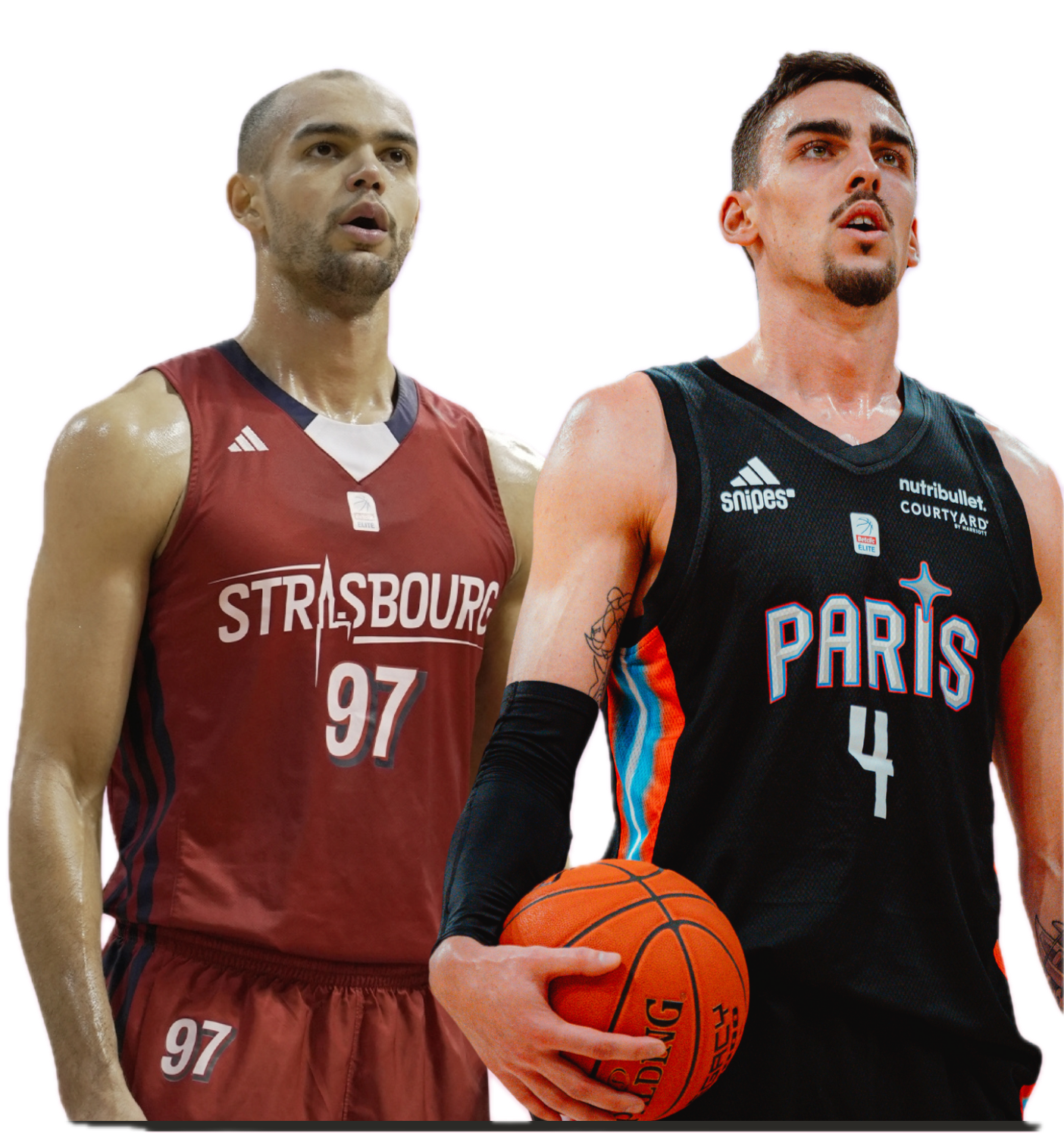 Joueurs ROSA Basketball